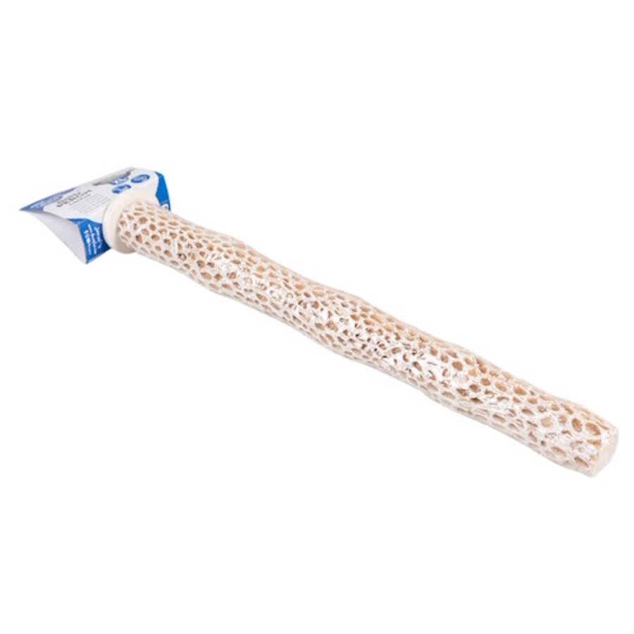 Cactus Vogelzitstok Bruin