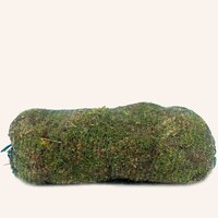 Levend Sphagnum Mos in Net