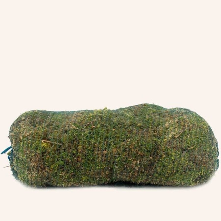 Levend Sphagnum Mos in Net