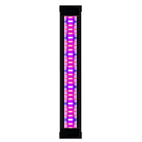 LED Plants Emotions CLE 40