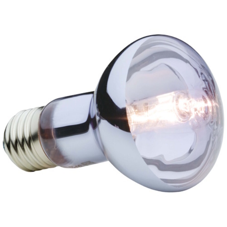 Halogeen daglichtlamp terrarium 50 watt | breed-spectrum UVA warmtespot