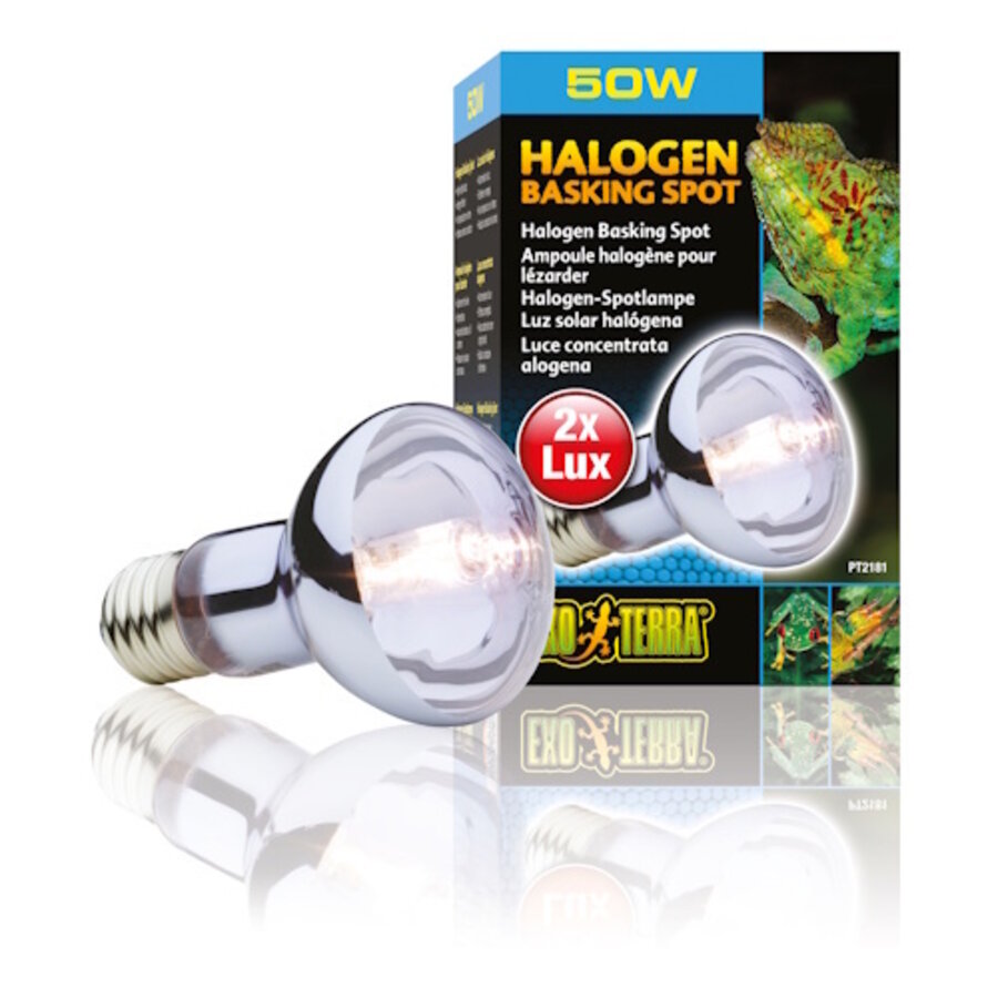 Halogeen daglichtlamp terrarium 50 watt | breed-spectrum UVA warmtespot