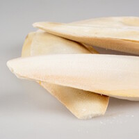 Sepiaschaal 5KG 15-28CM