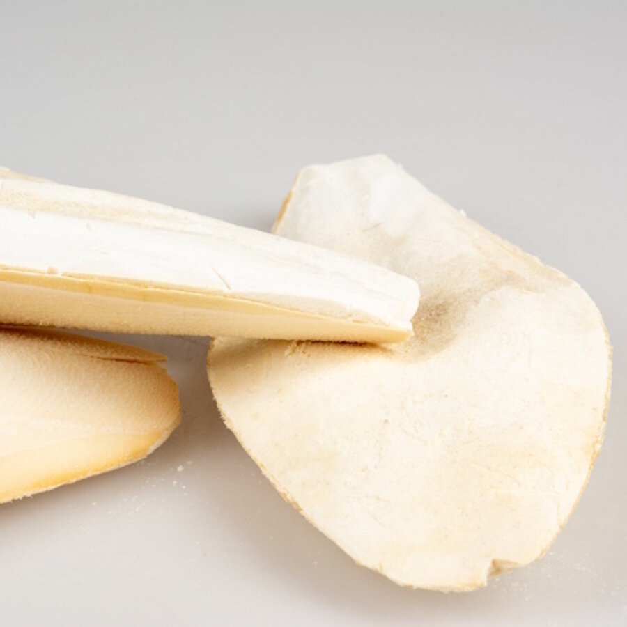 Sepiaschaal 5KG 15-28CM