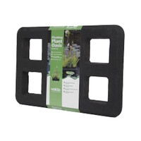 Drijvende plant Oasis