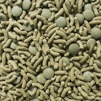 Tortoise Adult Vital Mix