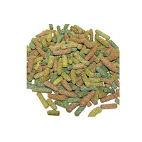 Landschildpad Korrels 1KG