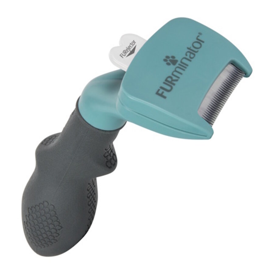 Kattenborstel Lichtblauw S