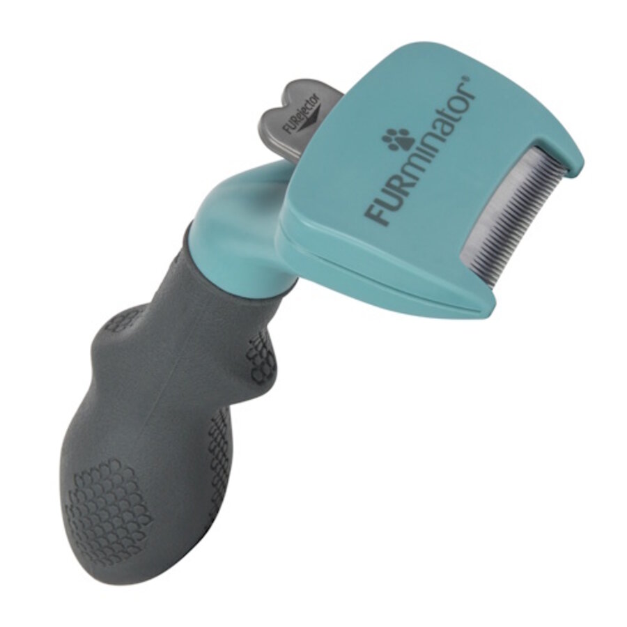 Kattenborstel Lichtblauw S