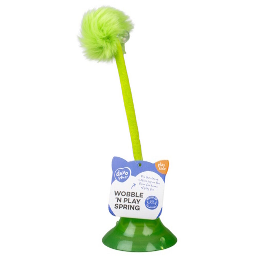 Wobble 'N Play Spring