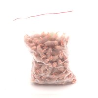 Diepvries muis Pinky 3–5 gram | hele prooi voor jonge slangen