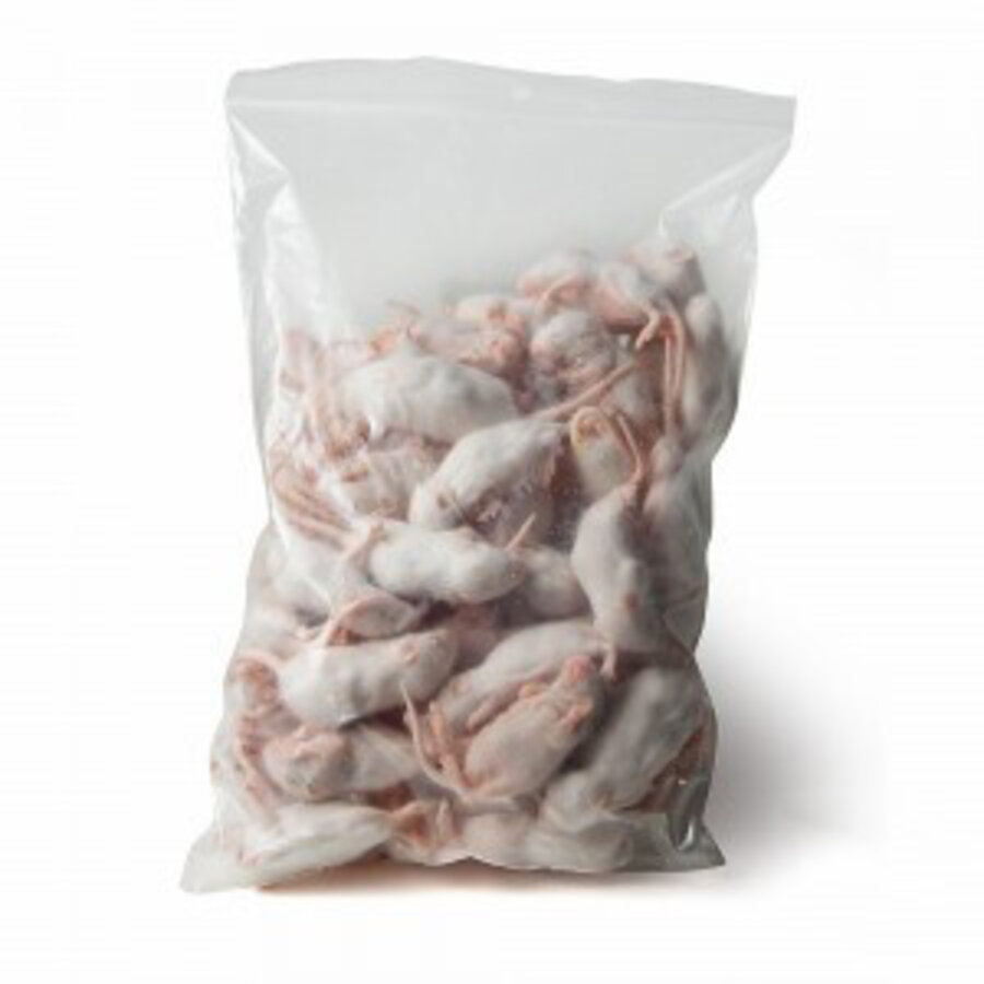 Diepvries muis fuzzy 6–7 gram | heel prooidier voor reptielen en roofvogels