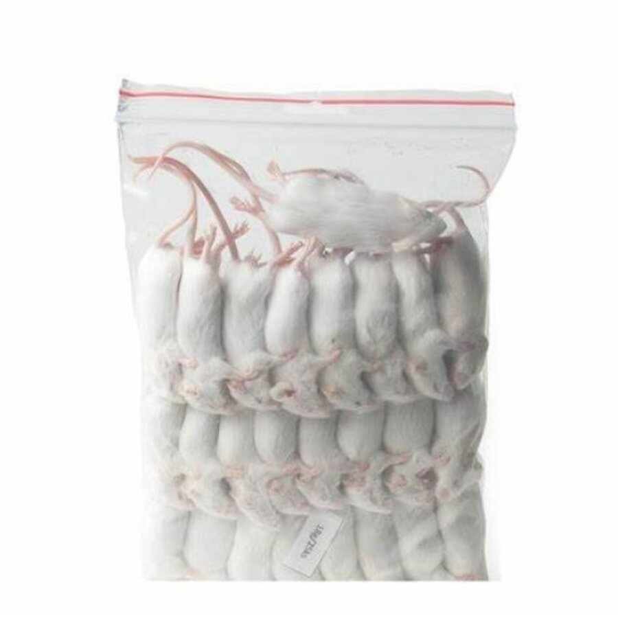 Diepvries muis volwassen 15-25 gram | compleet prooidier