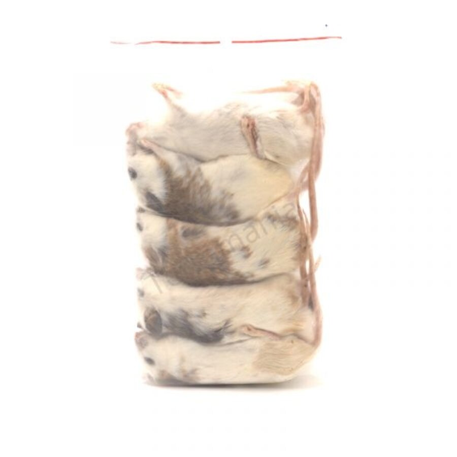 Diepvries veeltepelmuizen