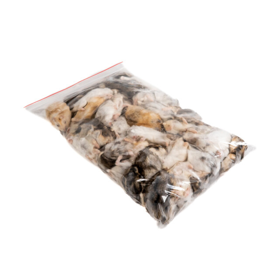 Diepvries hamsters volwassen – 1 kilo voordeel