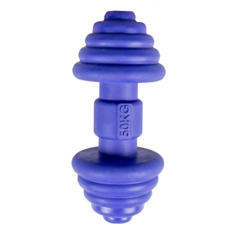 Kauwspeeltje Power Pump Blauw