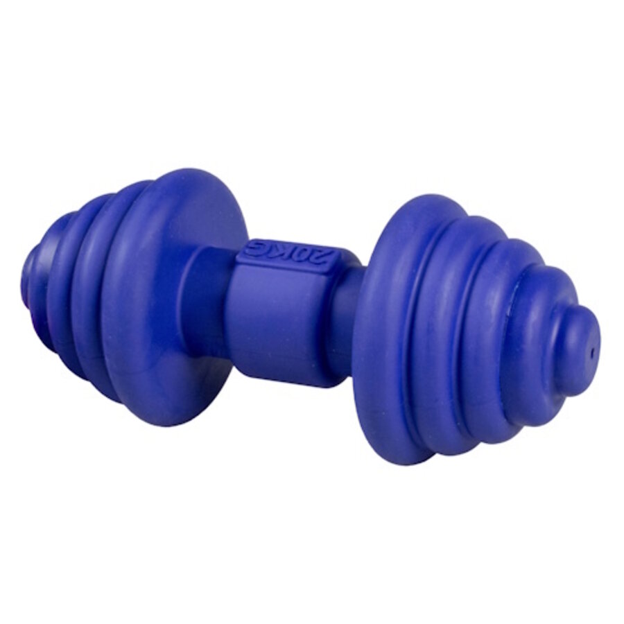 Kauwspeeltje Power Pump Blauw