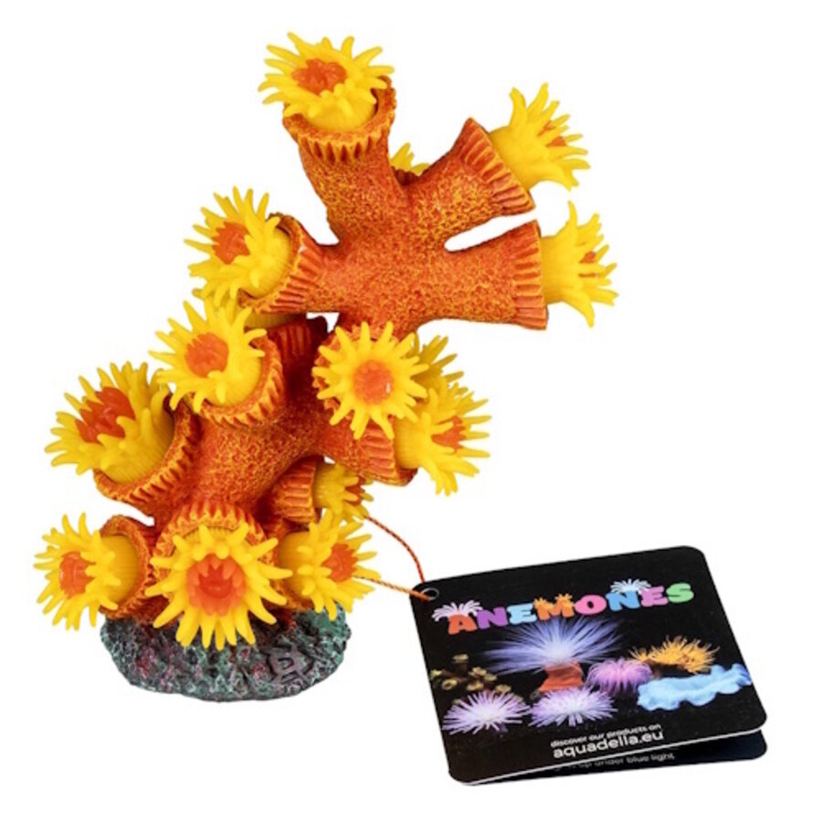 Kunstplant Tubastrea