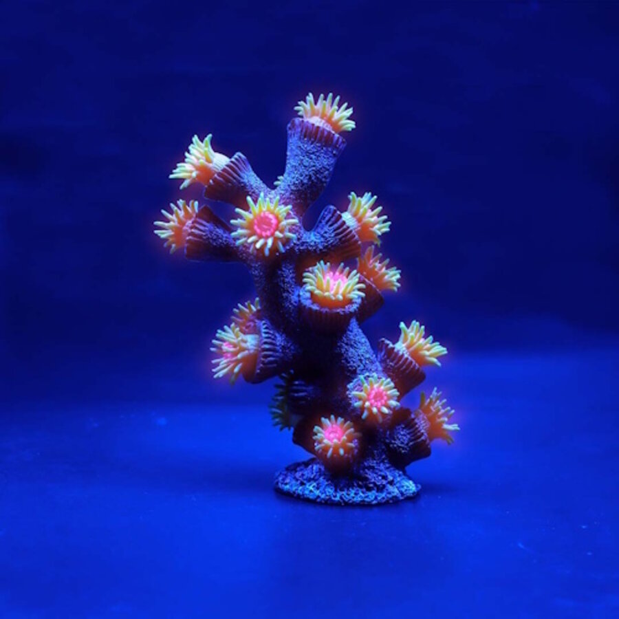 Kunstplant Tubastrea