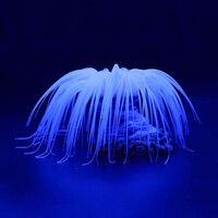 Kunstplant Anemoon Cerianthus 16x16x9CM