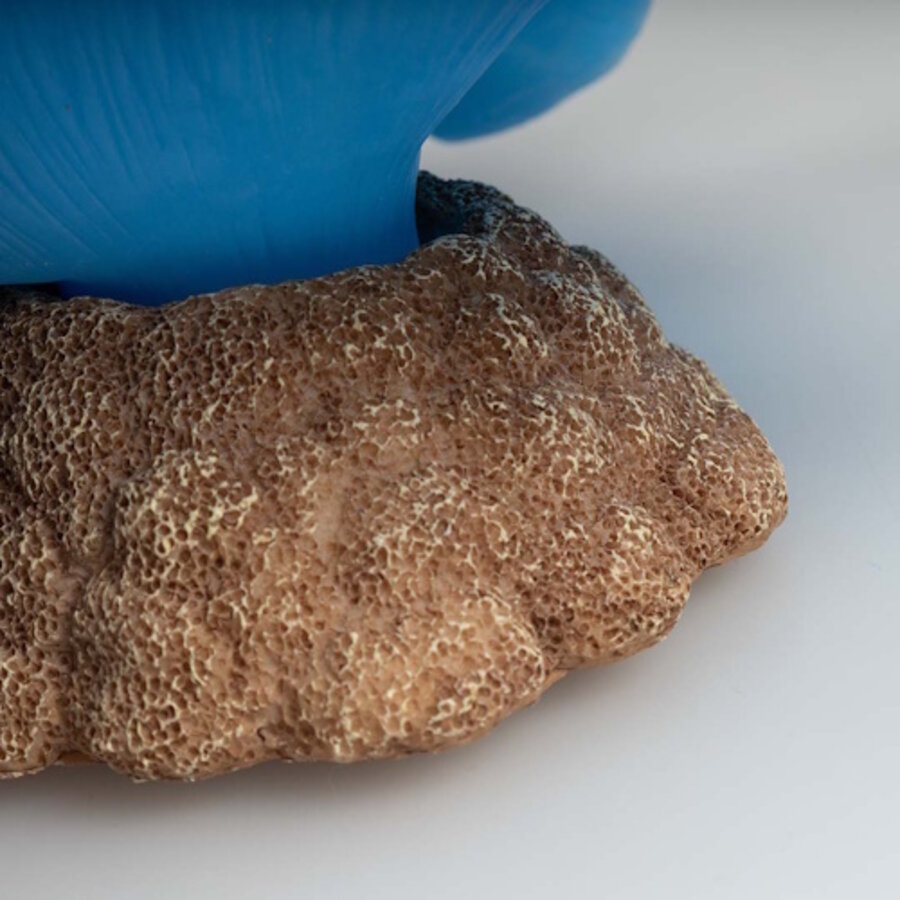 Kunstplant Anemoon Tapijt 18x16x5CM