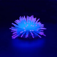 Kunstplant Anemoon 12,5x12,5x7,4CM