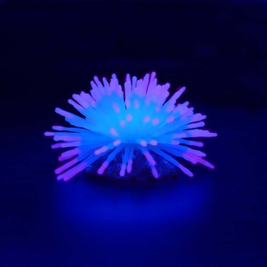 Kunstplant Anemoon 12,5x12,5x7,4CM