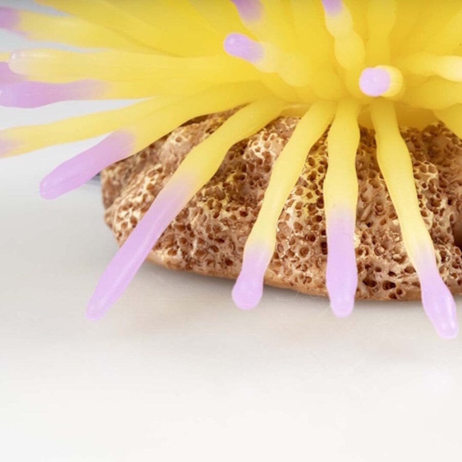 Kunstplant Anemoon 12,5x12,5x7,4CM