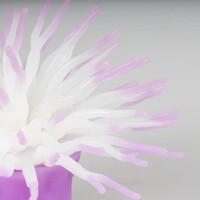 Kunstplant Anemoon met Zuignap