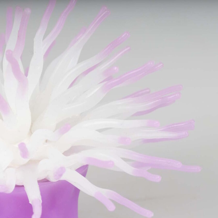 Kunstplant Anemoon met Zuignap