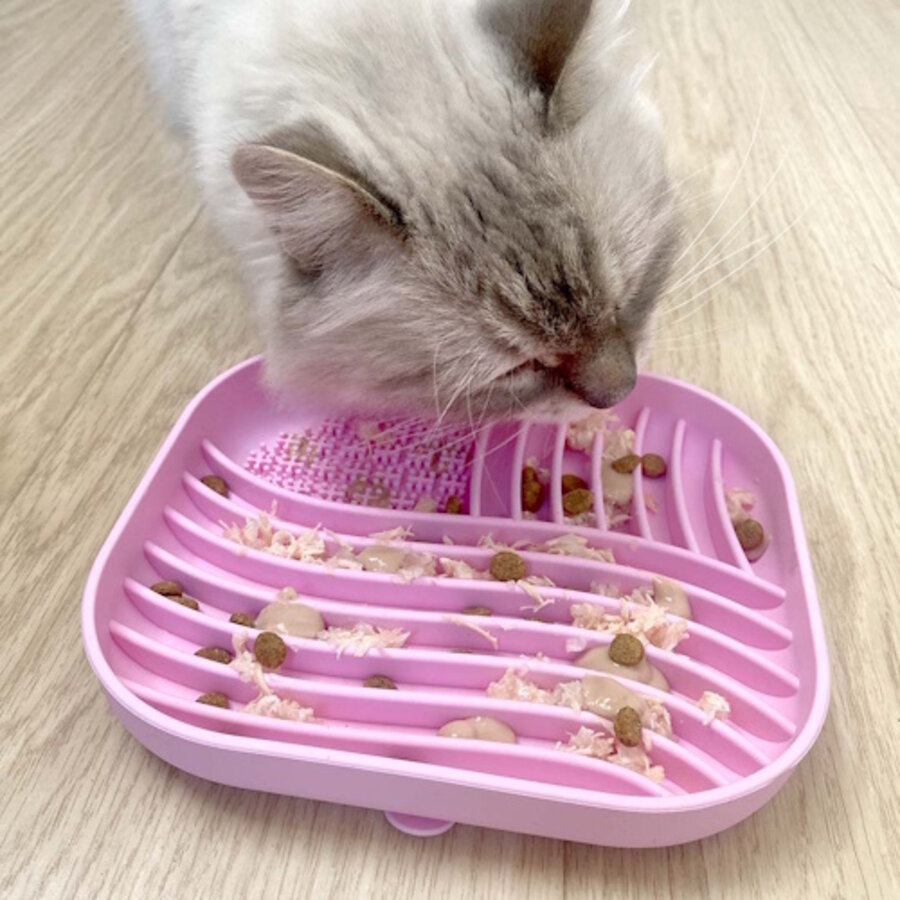 Anti-Schrok Eetkom Vierkant