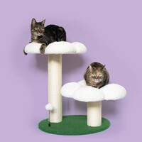 Krabpaal Flower Power | 59x49x62cm