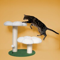 Krabpaal Flower Power | 59x49x62cm