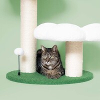 Krabpaal Flower Power | 59x49x62cm