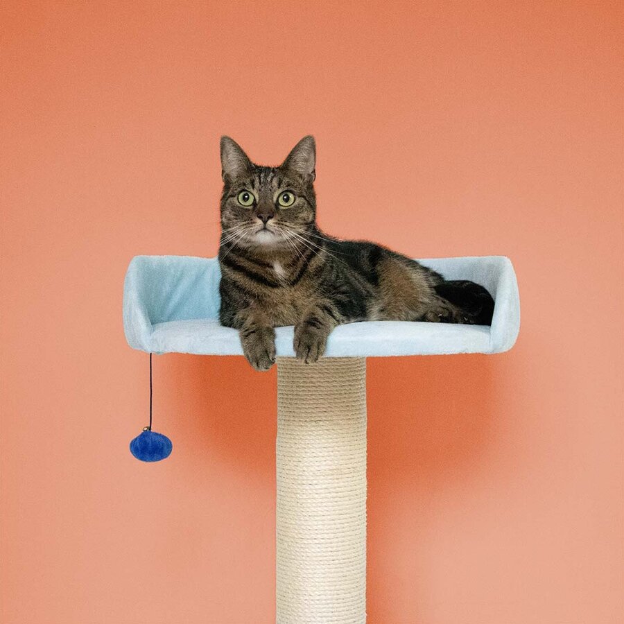 Krabpaal Berry Breeze | 50x50x64cm