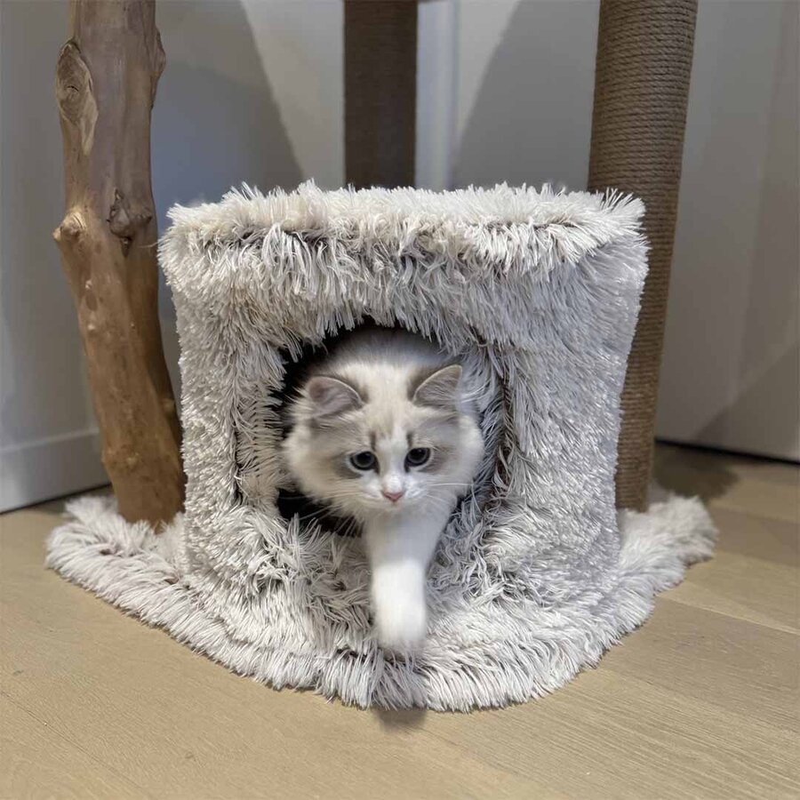 Krabpaal Marseille Long Hair Pluche | 49x49x122cm