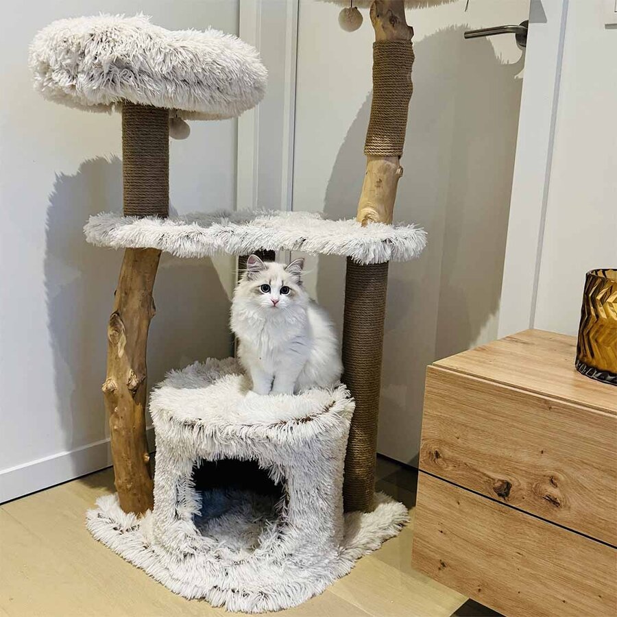 Krabpaal Marseille Long Hair Pluche | 49x49x122cm