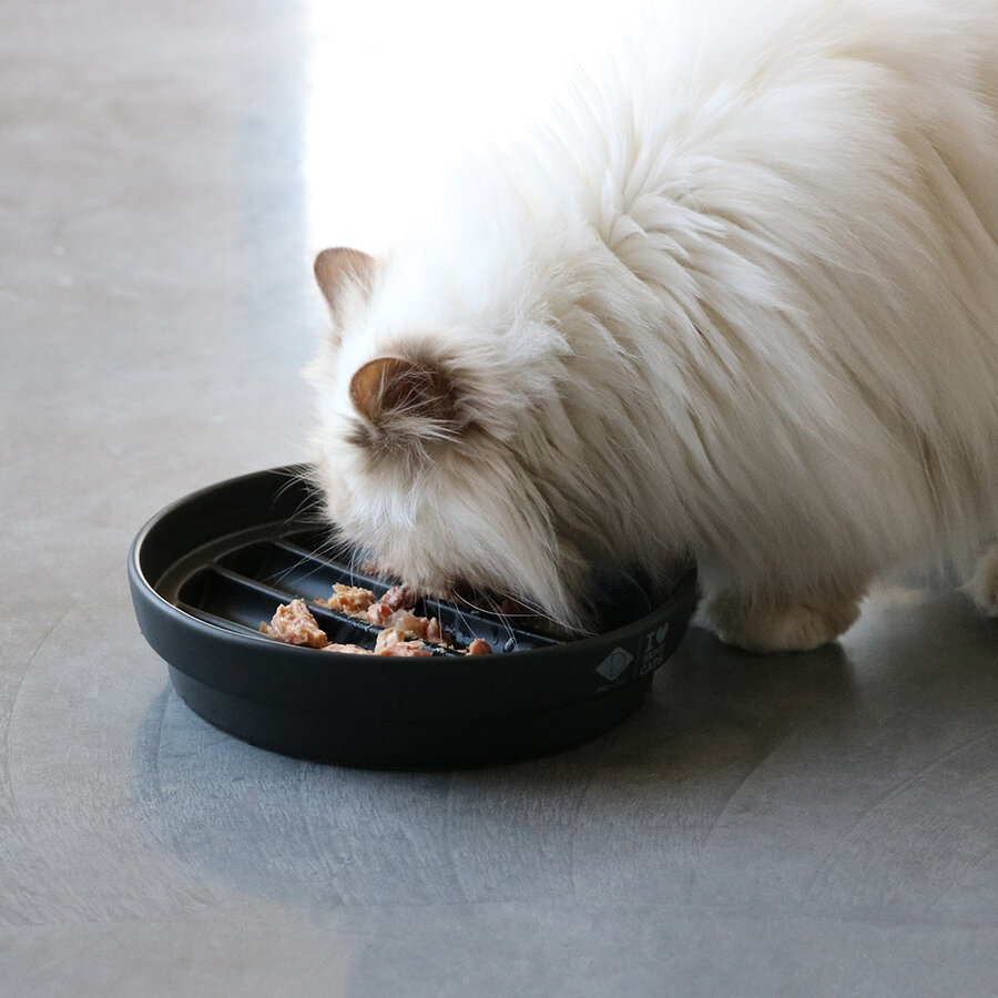 SUE Slow Feeder 'Golf' Zwart – keramische voerbak voor katten, 750 ml