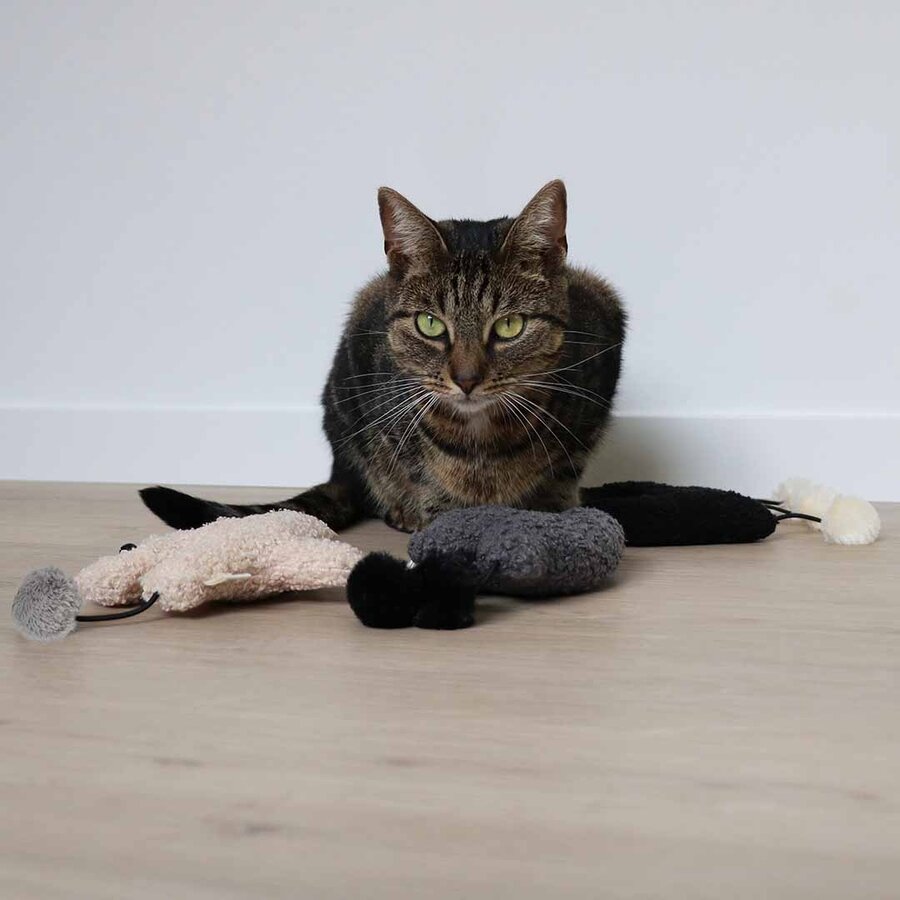 Trappelkussen Bix met Knisperfolie