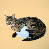 Trappelkussen HEAD IN THE CLOUDS – wolkvormig pluche kattenspeeltje met kattenkruid