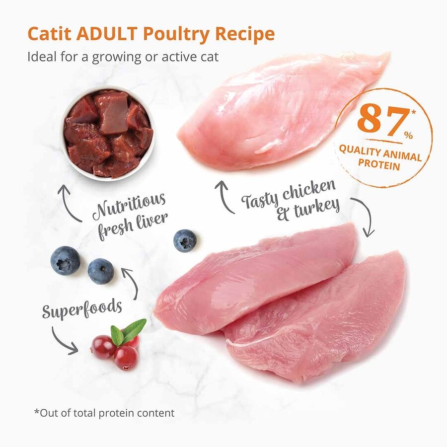 CA Recipes Adult Poultry - volledig kattenvoer met gevogelte en superfoods