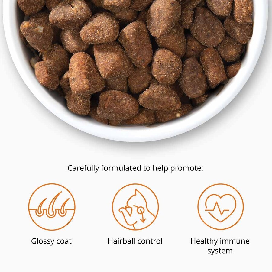 CA Recipes Adult Poultry - volledig kattenvoer met gevogelte en superfoods