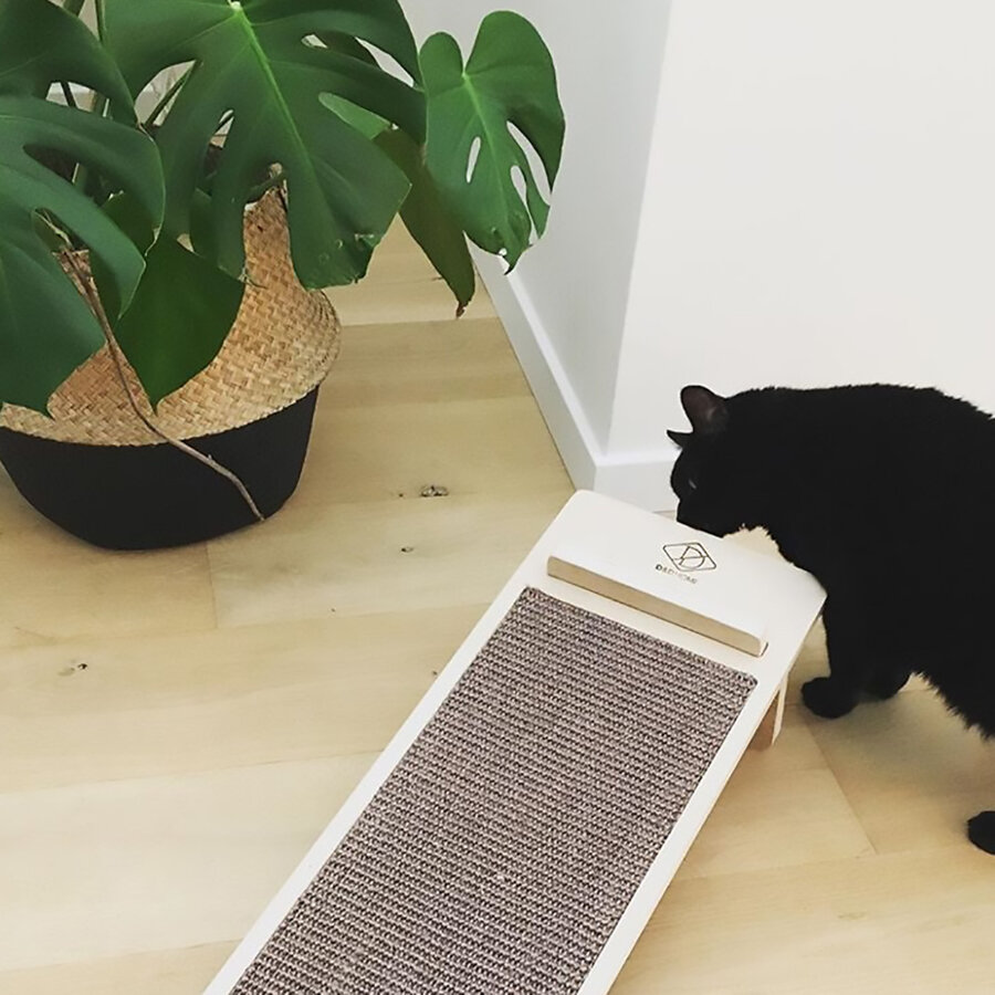 Kenny Scratchboard – krabplank met sisal en vilt voor nagelverzorging en geurafgifte – 75 × 25 × 18 cm