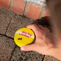 Mierenlokdozen 2 stuks - bestrijdt het hele nest met langdurige werking, geschikt voor binnen en buiten