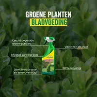 Groene Planten Bladvoeding - natuurlijke meststof spray voor groei en herstel van groene planten