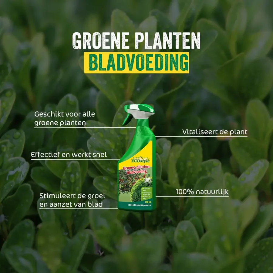 Groene Planten Bladvoeding - natuurlijke meststof spray voor groei en herstel van groene planten