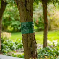 Lijmband - weerbestendige barrière met natuurlijke harsen tegen rupsen en mieren in fruitbomen