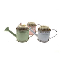 Vogeltaart in zinken gieter – decoratieve vogeltraktatie in cadeauverpakking, assorti kleuren