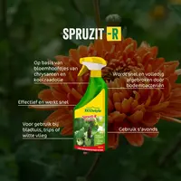 Spruzit-R spray gebruiksklaar - plantaardig middel tegen bladluis, trips en witte vlieg op sier- en kamerplanten