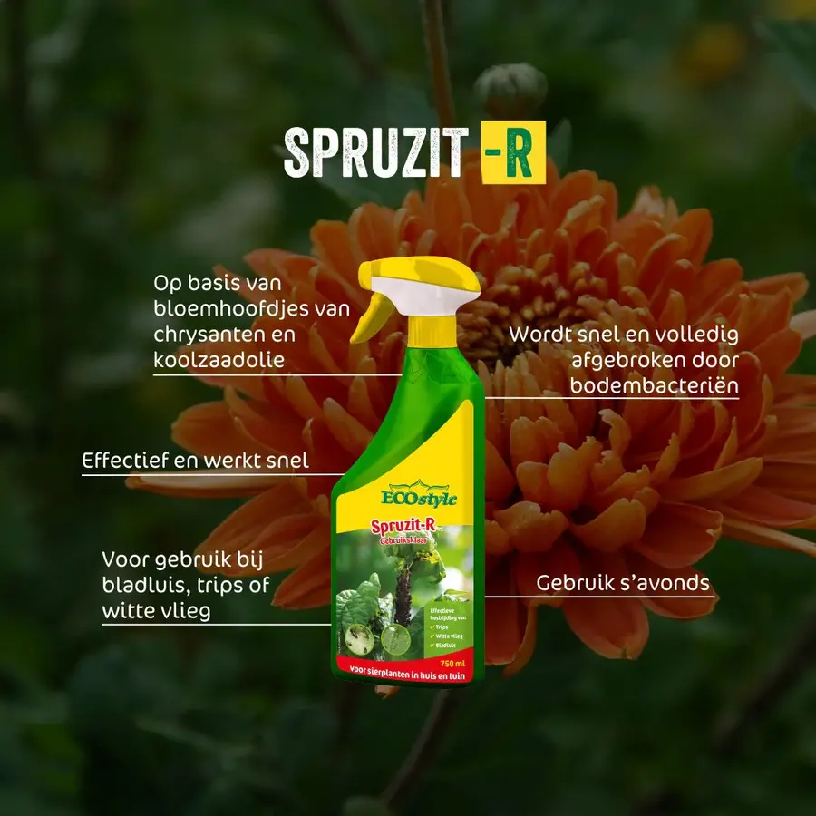 Spruzit-R spray gebruiksklaar - plantaardig middel tegen bladluis, trips en witte vlieg op sier- en kamerplanten